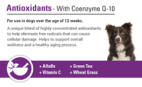 Intended that this invitation to offer process be conducted in a fair and streamlined fashion. Vet Classics Antioxidants With Coenzyme Dogs Q 10 For Alfa New Products World S Highest Quality Popular