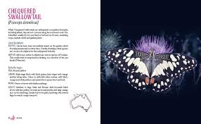 We did not find results for: Attracting Butterflies To Your Garden By Densey Clyne 9781877069840 Booktopia