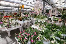 Das angebot reicht bis zu gartenmöbeln und. Gartencenter In Karlsruhe Blumen Pflanzen Erde Co Meinka