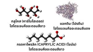 อะตอม เป็นโครงสร้างขนาดเล็กมากมองด้วยตาเปล่าไม่เห็น ที่พบได้ในสิ่งของทุก ๆ อย่างรอบตัวเรา อะตอมประกอบไปด้วยอนุภาค 3 ชนิด คือ. Molecular Hydrogen H2 Hydrovoltage