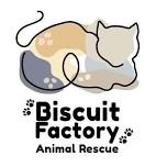 Biscuit Factory Animal Rescue Adoption Event
