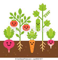 Cute Vegetable Garden Illustration Cute Vegetables With Smiling Faces Growing In Soil Vegetable Garden Set Flat Cartoon Canstock