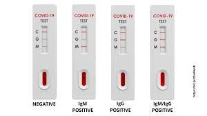 Rapid Covid 19 Tests What Negative Or Positive Results Mean World Gulf News