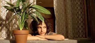 What Kind Of Plant Did Leon And Mathilda Have Gardening Garden Diy Home Flowers The Professional Movie Leon The Professional Leon The Professional Quotes