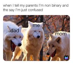 89 notes jan 4th, 2020. Nonbinary Memes Memes