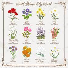 October Birth Month Flower Personalized Birthday Gift Birth Present Name And Date Floral Illustration Nursery Art Art Print Birth Flower Tattoos Birth Month Flowers Month Flowers