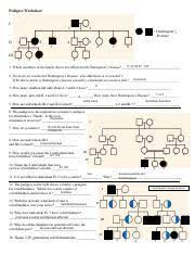 We did not find results for: Kami Export Pedigree Worksheet 2 Ignacio Mejia Pedigree Worksheet I Ii 1 2 1 2 4 5 Huntingtons Disease 3 6 7 8 Iii 1 2 3 4 5 I1 Ii2 Ii3 Ii7 Course Hero