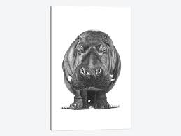Design your everyday with hippo canvas prints you'll love. Hippo Art Print By Paul Stowe Icanvas