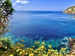 Le terrazze sul mare is located on the island of ustica. Vacanze In Barca Ustica Noleggio Barche A Vela E A Motore In Sicilia