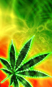 Learn how to grow weed from the beggining! 420