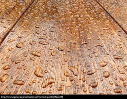 Geoltes Holz Stockfoto 5226231 Bildagentur Panthermedia