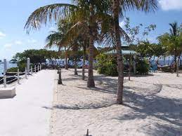 You can use the special requests box when booking, or contact the property directly with the contact details provided in your confirmation. Dove Creek Lodge Beach Area Picture Of Dove Creek Resort Marina Key Largo Tripadvisor