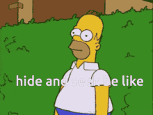 Share your media as gif or mp4 and have it link back to you! Hide N Seek Gifs Tenor
