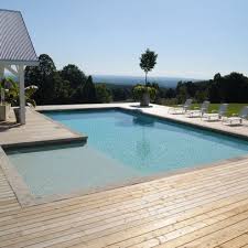 Pool With Tanning Ledge Design Ideas Pictures Remodel And Decor Pools Backyard Inground Rectangular Pool Pool Shapes