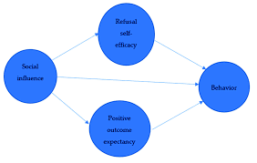 A type of behavior marked by a rapid increase in purchase volume as the price of a good or security increases. The Theoretical Model Of Social Cognitive Theory Fomo Fear Of Missing Download Scientific Diagram