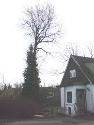 Image result for site:byggahus.se fällning