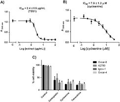 Image result for Triclisia