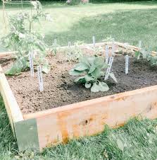 Square foot gardening is a simple technique used to produce vegetables and herbs. What I Learned About The Square Foot Garden Method Sage Shepherd Blog