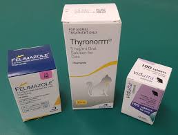 Satisfaction guaranteed · america's #1 pet pharmacy · easy refills Hyperthyroidism In Cats 8 Important Things You Need To Know Rochford Vets