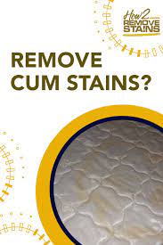 How to Get Rid of Unwanted Sperm Stains on Your Mattress - A Step-By-Step  Guide