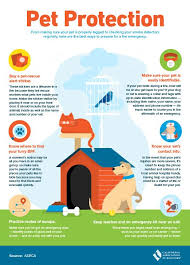 Keep Your Pet Safe Check This Out And Then Go To My Website For More Info On Home Ownership Www Kelly California Real Estate Real Estate Trends Real Estate