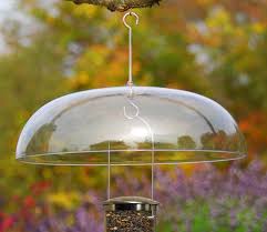 Bird Feeder Protection From Squirrels Pin On Squirrel Baffles Weather Domes
