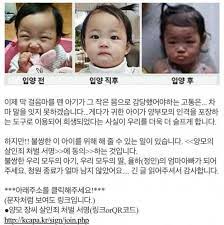제주도 ai 폐사 은폐 조사.고의성 확인되면 강력 처벌 / ytn. ì •ì¸ì•„ ë¯¸ì•ˆí•´ ì±Œë¦°ì§€ ì–'ë¶€ëª¨ ì²˜ë²Œ êµ­ë¯¼ì²­ì› ê²€ì°° ê²½ì°° ë¹„íŒ