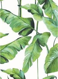 bn wallcoverings hollands designbehang colorstore nl www colorstore nl behang planten prachtige bloemen