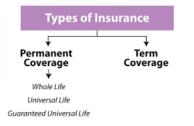 Two types of life insurance. Secrets To Buying Life Insurance Burial Insurance Pro