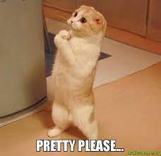 Share the best gifs now >>>. 20 Please Memes That Ll Do The Trick Sayingimages Com