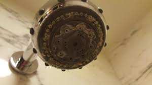 Got stubborn hard watermarks and stains on your tub or shower doors that simply will not budge no matter what you try? Shower Head Was Disgusting With Hard Water Stains Picture Of Red Rock Casino Resort Spa Las Vegas Tripadvisor