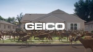 Geico Genies Did You Know 2014 What S Your Wish Commercial 0 30 By Geico Insurance Youtube Lol 3 3 Tv Commercials Genies Did You Know