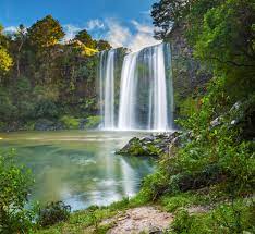 See tripadvisor's 21,300 traveller reviews and photos of whangarei tourist attractions. The Whangarei Falls Northland New Zealand Unique Holiday Tours