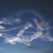 You don't know what to expect from them, as they have a bunch of qualities that make them quite different than the rest of the zodiac! Top 10 Reasons Why Cancer Is The Best Zodiac Sign