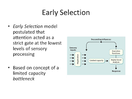 Image Result For Broadbent S 1958 Model Of Attention Cognitive Psychology Attention No Response