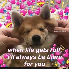 Wholesome Love Meme In 2020 Cute Love Memes Love Memes Cute Memes