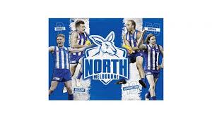 North melbourne renal care centre, vic. Buy Afl Puzzle North Melbourne Kangaroos 4 Player 1 000 Piece Jigsaw Puzzle Harvey Norman Au