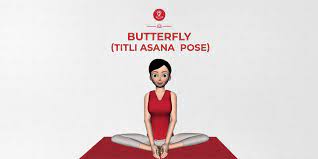 Posted on november 17, 2020 by admin 16+ butterfly pose in sanskrit. Butterfly Pose Titli Asana Steps Benefits Precautions