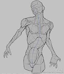 12 photos of the anatomy of internal organs male. Male Anatomy For Artist Google æ¤œç´¢ Human Anatomy Art Human Anatomy Drawing Anatomy Reference