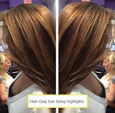 Identify your level of commitment. How To Hide Gray Hair On Brunettes Hairstylecamp In 2021 Hair Color For Black Hair Covering Gray Hair Biolage Hair