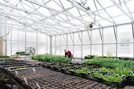 Commercial Greenhouse Design