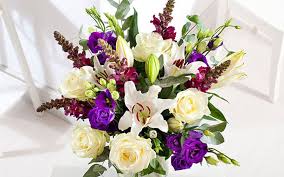 Money supermarket is a very good one as is compare the market. Best Of The Bunch Supermarket Flowers For Mother S Day Asda Flowers Mothers Day Flowers Flowers