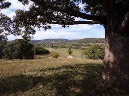 The cabin is private and surrounded by trees to give you a country feel. Ozark Mountain Land Views Farm For Sale In Leslie Searcy County Arkansas 218519 Farmflip