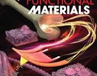 Looking for scientific cover art? Check our vivid and ...