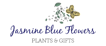 Browse 171 blue jasmine flower stock photos and images available, or start a new search to explore more stock photos and images. Sherman Oaks Florist Flower Delivery By Jasmine Blue Flowers Plants Gifts