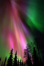 See The Northern Lights From Sweden Or Finland Northern Lights Northern Lights Finland See The Northern Lights