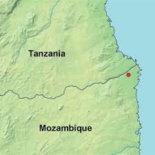 Image result for Empogona ngalaensis