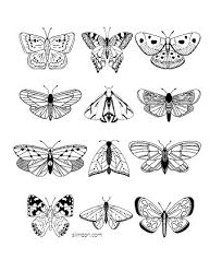 Set up a table outside and keep kids of all ages occupied with these spring pictures to color. Free Printable Butterfly Coloring Pages And Templates