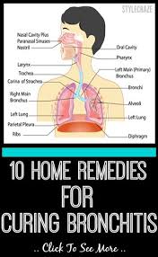 Home Remedies For Bronchitis How To Cure Bronchitis Home Remedies For Bronchitis Bronchitis Remedies