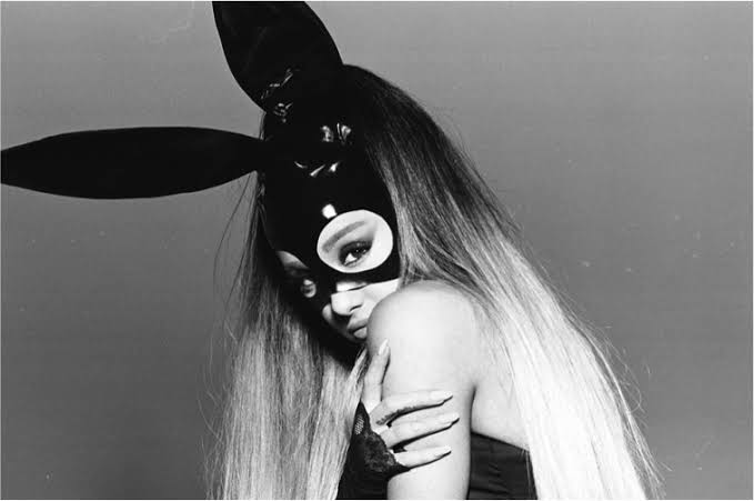 images?q=tbn:ANd9GcTn0Spahrj5750QrQn0tKZ